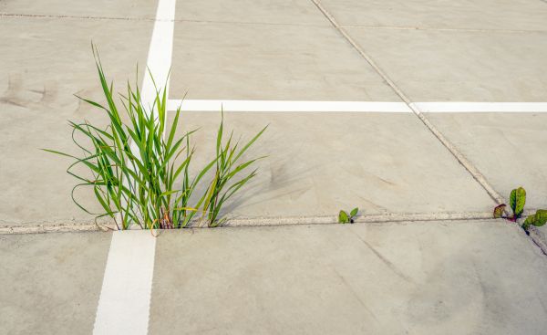 Concrete Parking Installation in Owasso